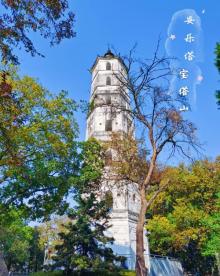 安乐塔6