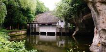 柯岩景区乌篷船观光7