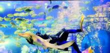 镜湖湿地海洋世界9