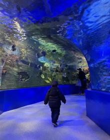 镜湖湿地海洋世界14