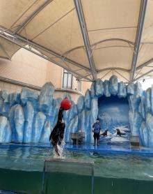 镜湖湿地海洋世界12