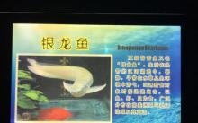 镜湖湿地海洋世界6