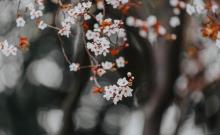 濮家运河公园1
