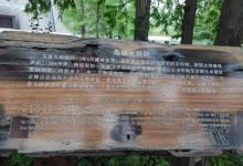 乌镇大剧院11