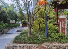 西湖区青芝坞城市文化公园3