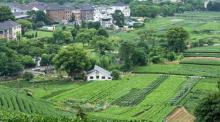 何家村1