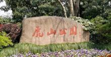 虎山公园1