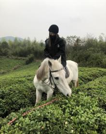 爵隐马术17