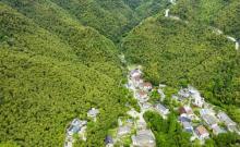 湖州碧坞龙潭1