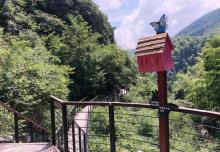 湖州碧坞龙潭8
