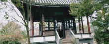 蒋庄16