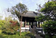 蒋庄10
