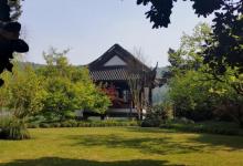 蒋庄9