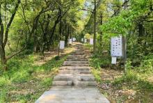 老虎洞山风景区5
