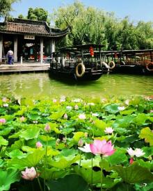 湘湖三期花海摇橹船1