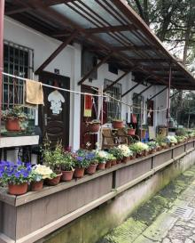 栖霞岭3