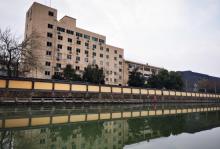 余杭塘河12