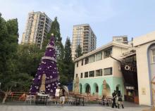 萧山东巢艺术公园1