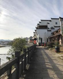 杨家村4