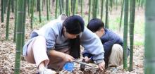 野古农园虫出没16