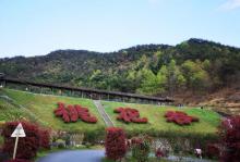阳山畈村5