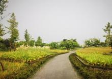 钱塘生态公园5