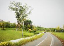 钱塘生态公园3