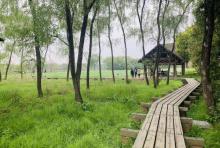 虾龙滩生态保护区6