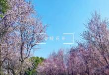南江公园3