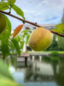 浙江工业大学5
