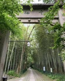 云栖寺4