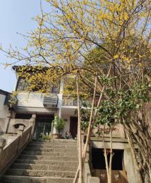 皋亭山景区3