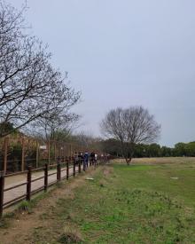 鹿苑4