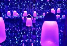 杭州梵高星空艺术展13