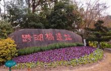 跨湖桥遗址博物馆1