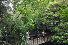 琴溪香谷景区4