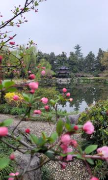 福井杭州友好公园10