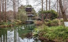 福井杭州友好公园4