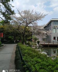 朝晖公园7