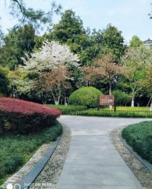 朝晖公园8
