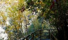 十门峡景区17
