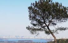 白鹤峰1