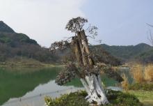 铜鉴湖云栖公园13