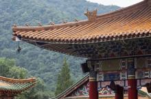 大树王景区6