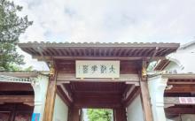 大树王景区5