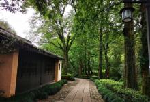 法云古村14