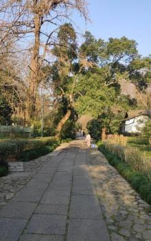 法云古村23