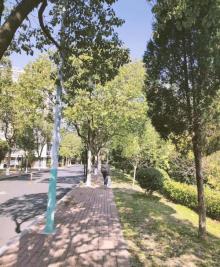 千岛湖珍珠广场3