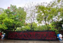 东河景点5
