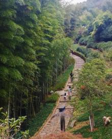 径山古道3